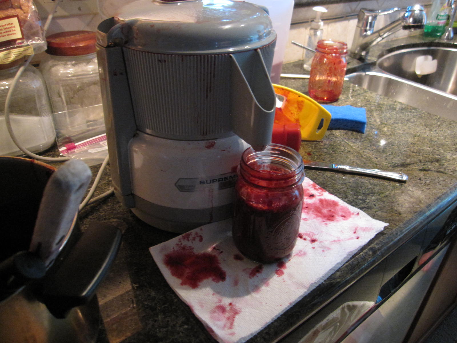 Berries2011b.JPG